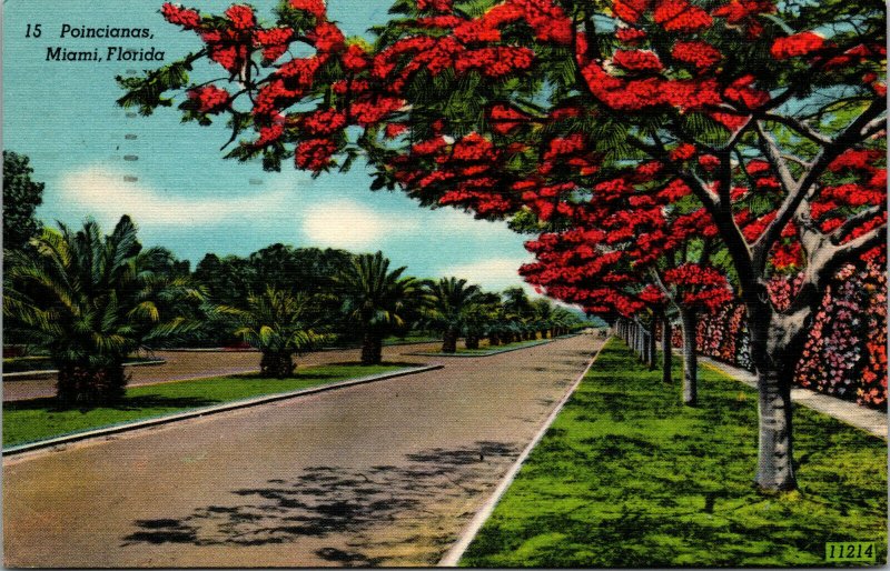 Vtg 1940s Royal Poinciana Street View Miami Florida FL Linen Postcard