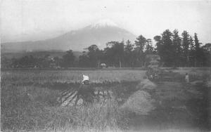 C-1910 Farm Agriculture Rice Harvest Postcard 1326 Japan