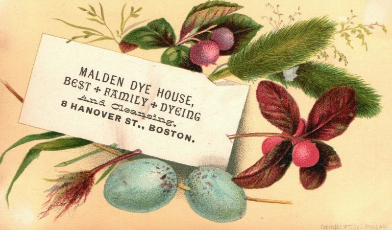 1880s-90s Malden Dye House Best Family Dyeing Cleaning Hanover St. Boston MA #2