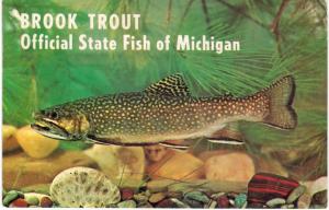 Brook Trout Official State Fish of Michigan State Tree White Pine Chrome 1960s 