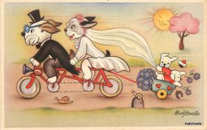 1940s Dressed wedding dogs Children Cart Mary Daester postcard 6517