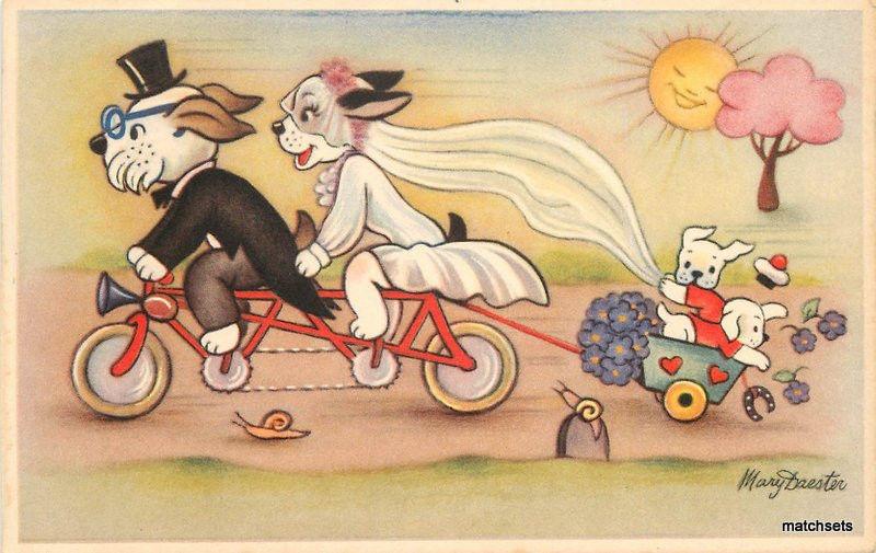 1940s Dressed wedding dogs Children Cart Mary Daester postcard 6517