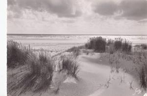 BF12947 ile d oleron charente maritime un aspect des dun france front/back image