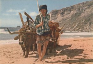 Portugal Postcard - Nazare - Pulling The Boat Out of The Water RR9362