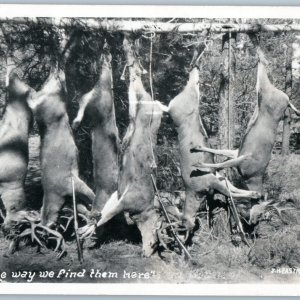 1962 Impressive Deer Hunter Haul RPPC Buck Pole Carcass Gun Eastman Photo A194