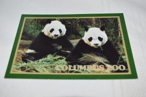 Giant Pandas Columbus Zoo Ohio Postcard Victory Postcards 7642