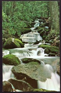 Tennessee LeConte Creek below Rainbow Falls Great Smoky Mountains - Chrome