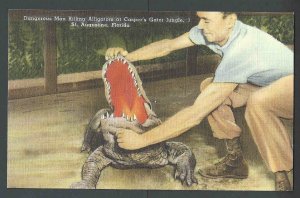 PPC St Augustine Fl Man Killing Alligator Handler Spreads His Jaws Mint