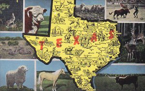 Map Of Texas