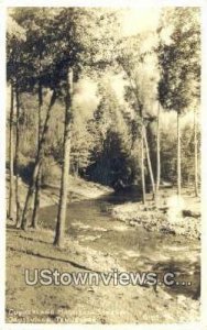 Real photo - Cumberland Mountain Stream - Crossville, Tennessee