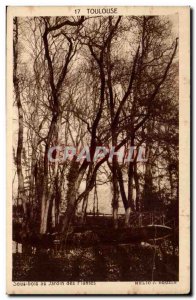 Toulouse - Undergrowth in the Botanical Gardens - Old Postcard