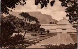 South Africa The Saddle Cape Point Cape Town Vintage Postcard C040