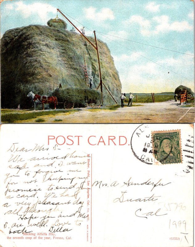 Alfalfa Hay Fresno CA Postcard Used (35796)