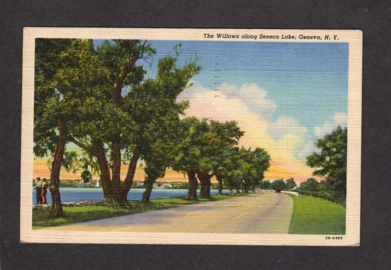 NY The Willows Seneca Lake Geneva New York Postcard Linen PC