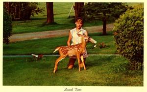 Fawn