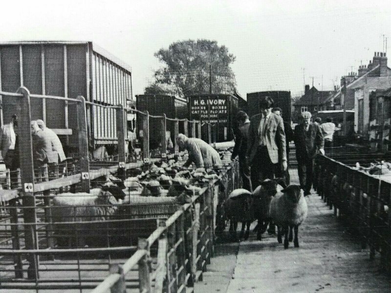 Bletchley Cattle Market Buckinghamshire Vintage Postcard 1969