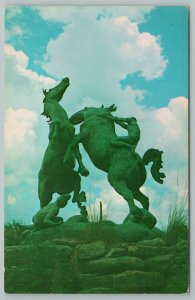 San Marcos Texas~Fighting Stallions By Anna Hyatt~Vintage Postcard