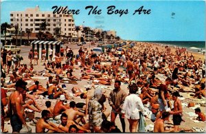 Beach Ft Lauderdael FL Florida College Students Sunbathing VTG Postcard PM WOB 