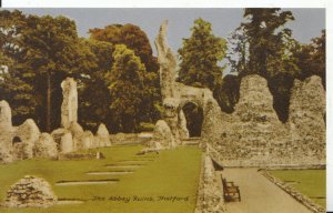 Norfolk Postcard - The Abbey Ruins - Thetford - Norfolk - Ref 4483A 