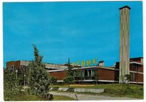 Italy 1967 Used Postcard Cervio Milano Marittima Swimming Pool