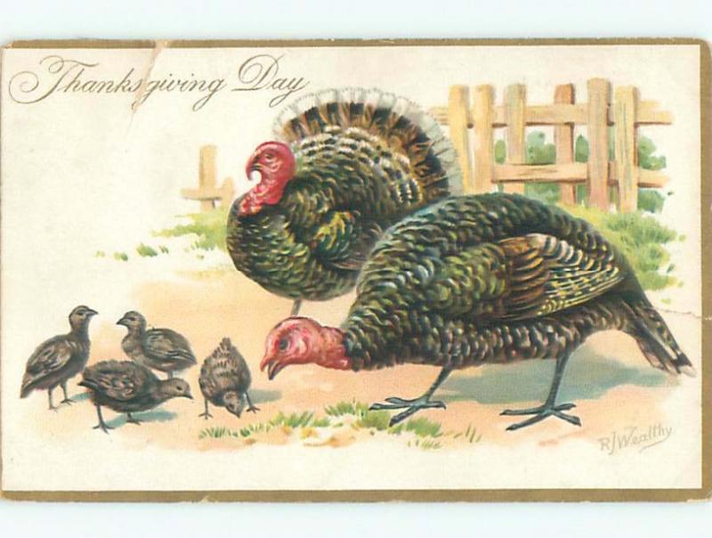 Divided-Back THANKSGIVING SCENE Great Postcard AA0486