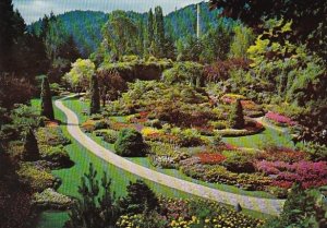 Canada Victoria The Butchart Gardens The Sunken Gardens