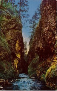 Oneonta Gorge Columbia River Highway Postcard PC404