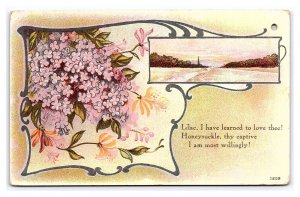 Lilac & Honeysuckle Postcard