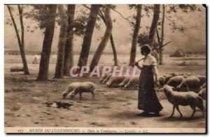 Paris - 6- Musee du Luxembourg - in the Country - Lerole - Sheep - - Old Post...