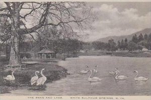 West Virginia White Sulphur Springs The Swan And Lake Albertype