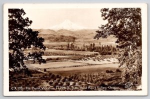 RPPC Mt Hood From Hood River Valley Oregon OR Sawyers Scenic Photo Postcard A43