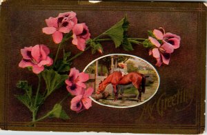 My Greetings Horse Flowers BIN