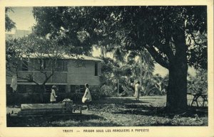 french polynesia, Tahiti, PAPEETE, House under the Manguiers (1920s) Postcard