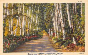 East Liverpool Ohio 1940s Linen Greetings Postcard Wooded Scene Columbiana Co