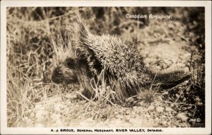 River Valley Ontario ONT Porcupine Real Photo Girox Real Photo Vintage Postcard