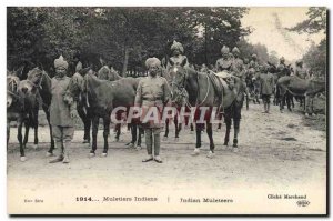 Old Postcard Indian Army Mule