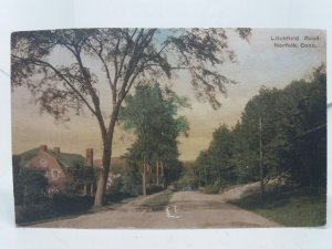 Litchfield Rd Norfolk Conn USA Vintage Postcard