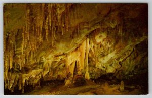 Carlsbad Caverns National Park New Mexico Papoose Draperies Postcard E27