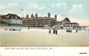 Circa 1905 OLD ORCHARD, MAUNE Hotel Velvet Sea Shore House postcard 3246