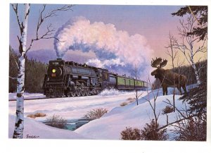 Canadian National Railway Train, Northern Ontario, Moose