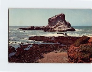 Postcard Seal Rock at Piedras Blancas Near Lighthouse at San Simeon California