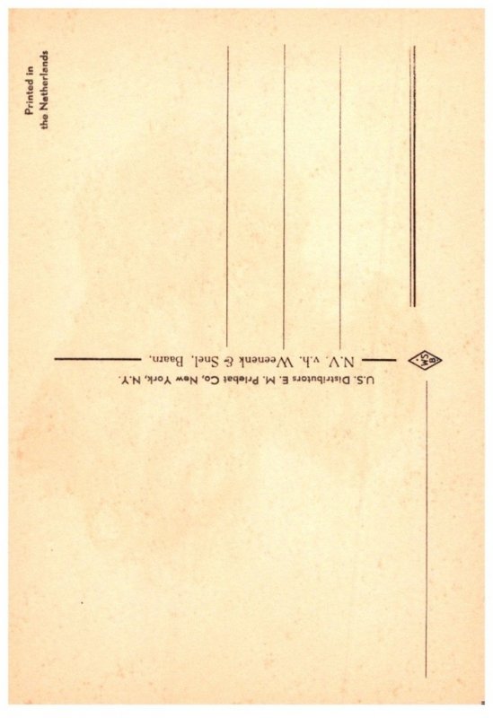 Dog ,  artist signed