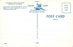 Cooke City Montana Richardson Curios Cabins Vintage Postcard K53539
