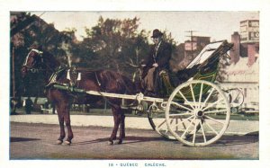Postcard 1920's Caleche Carriage Horse Cart Drawn Transportation Quebec Canada