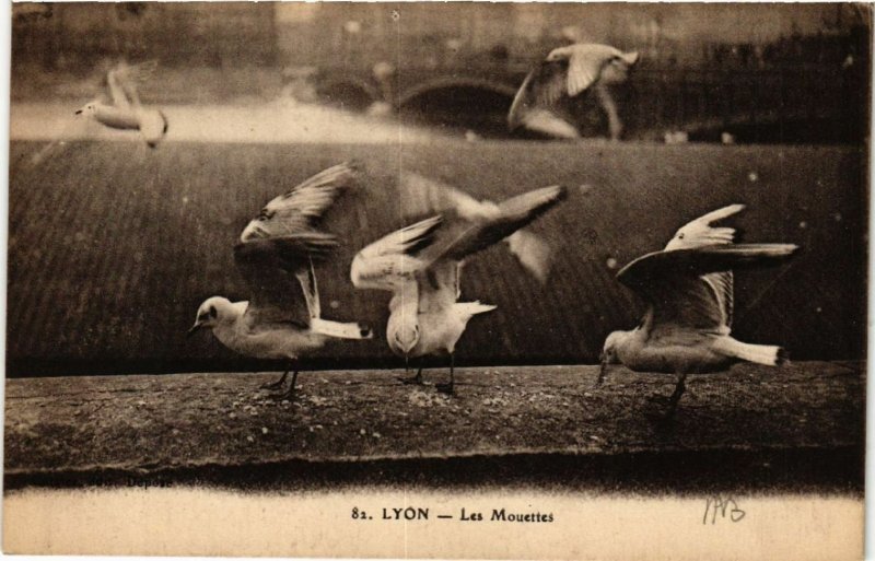 CPA LYON Les Mouettes (461603)