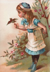 Victorian Trade Card Pretty Girl with a Bird L1