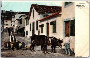 Madeira Cerca De Bois Portugal Residential Units Cows Postcard