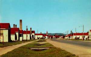 Wisconsin Cam McCoy Street Scene