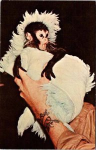 Postcard ZOO SCENE Milwaukee Wisconsin WI AO5292