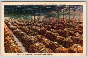 TOBACCO WAREHOUSE INTERIOR VIEW GREENEVILLE TENNESSEE VINTAGE LINEN POSTCARD